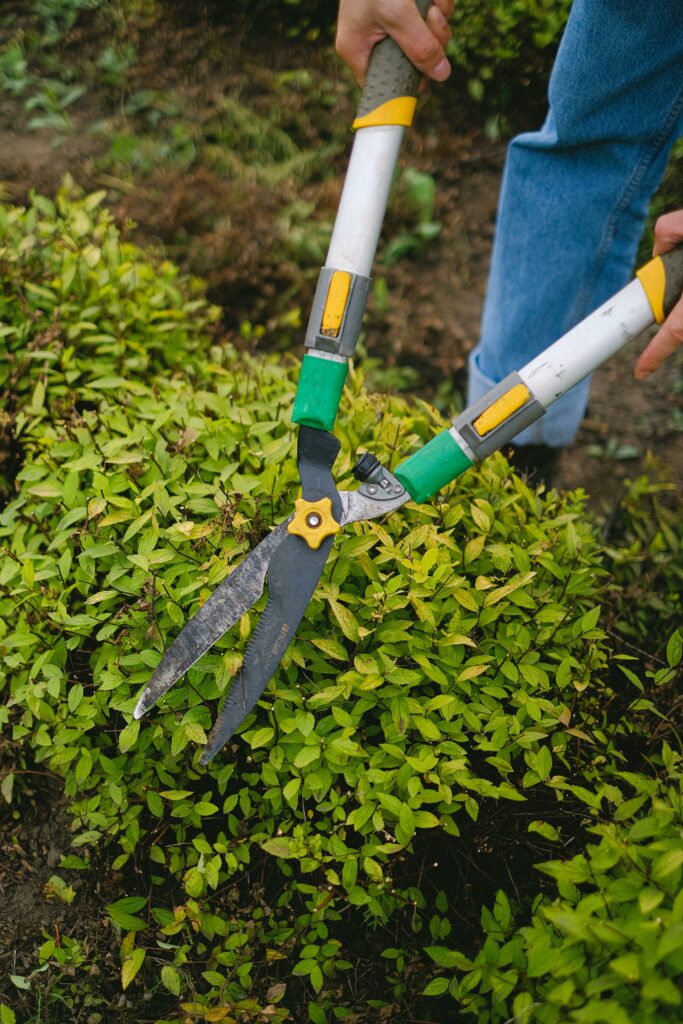 Entretien des espaces verts en île-de-france, création d'un jardin personnalisé, taille de haies et arbustes.